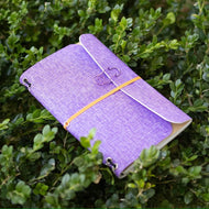 The Violet Chapters